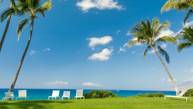 园林绿化养护步骤