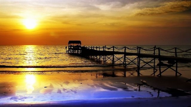 园林绿化种植土换土时间