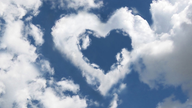 bat365中国：园林绿化用灌溉