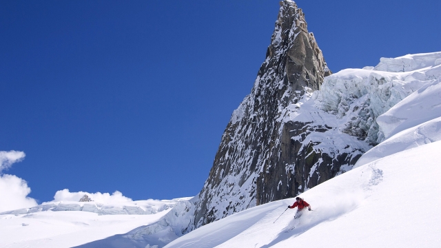 bat365中国：园林绿化花草种类