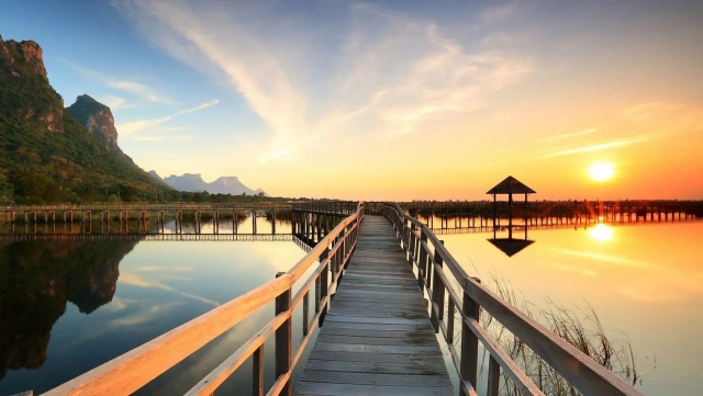 bat365中国：园林绿化修剪造型太整齐了