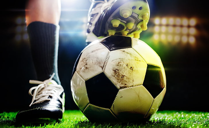 园林绿化植物怎样净化空气