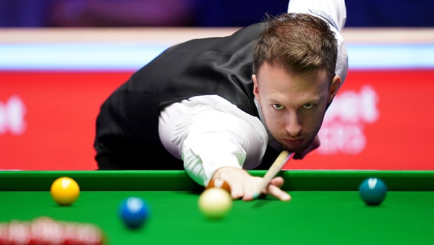 园林绿化树坑带